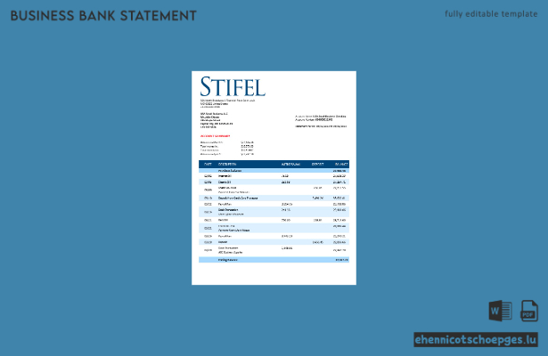 Stifel Financial Bank Firmenerklärung – Beispiel-Word- und PDF-Datei (Vorschau)